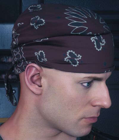 Burgundy Paisley Bandana.jpg