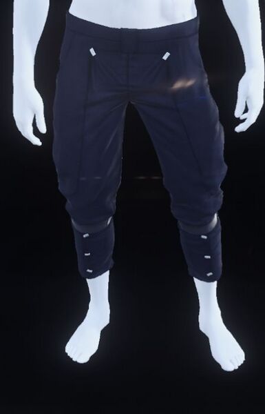 Altimont Pants Blue