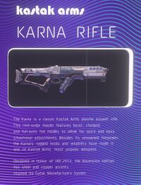 Karna Ascension Rifle.jpg