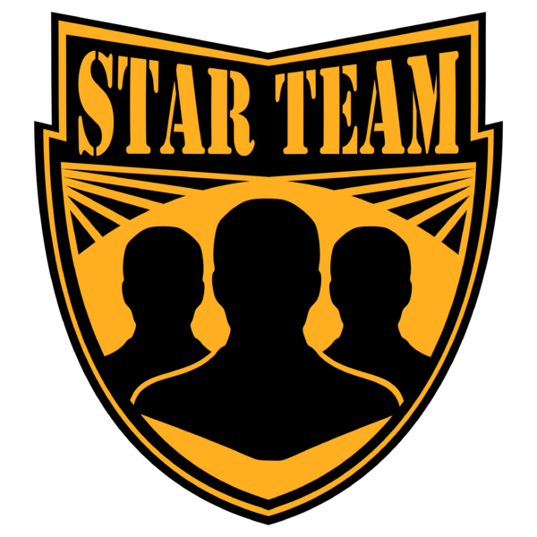 Datei:Organisation STAR TEAM Logo.png