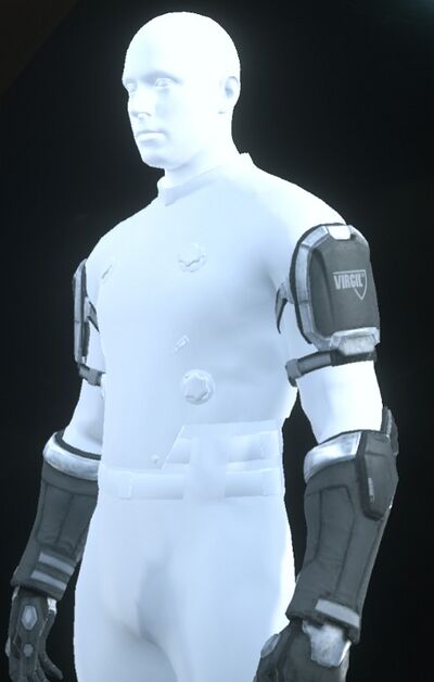 TrueDef-Pro Arms Black-Silver.jpg