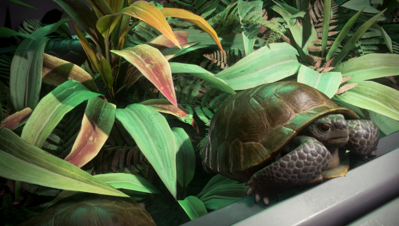 Datei:Galactapedia Leyland's Tortoise.png