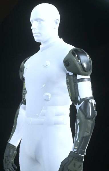 Datei:Field Recon Suit Arms.jpg
