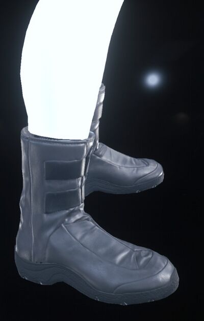 Ardent Boots.jpg