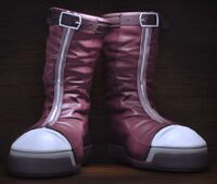Pampero Boots Maroon.jpg