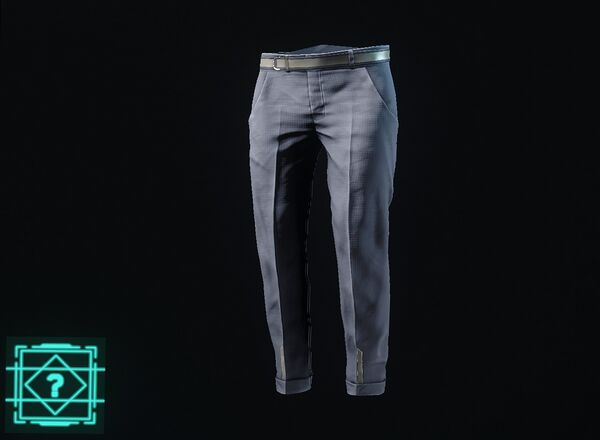Auditor Pants Grey