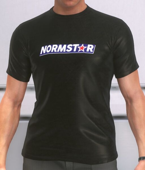 Datei:Normstar T-Shirt.jpg
